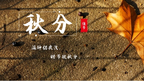 樓上樓門窗 | 白露秋分夜,一夜冷一夜，高端門窗安排上！